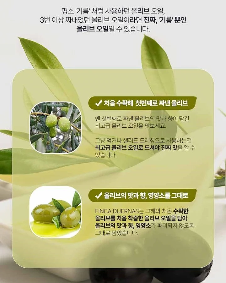 아트 6