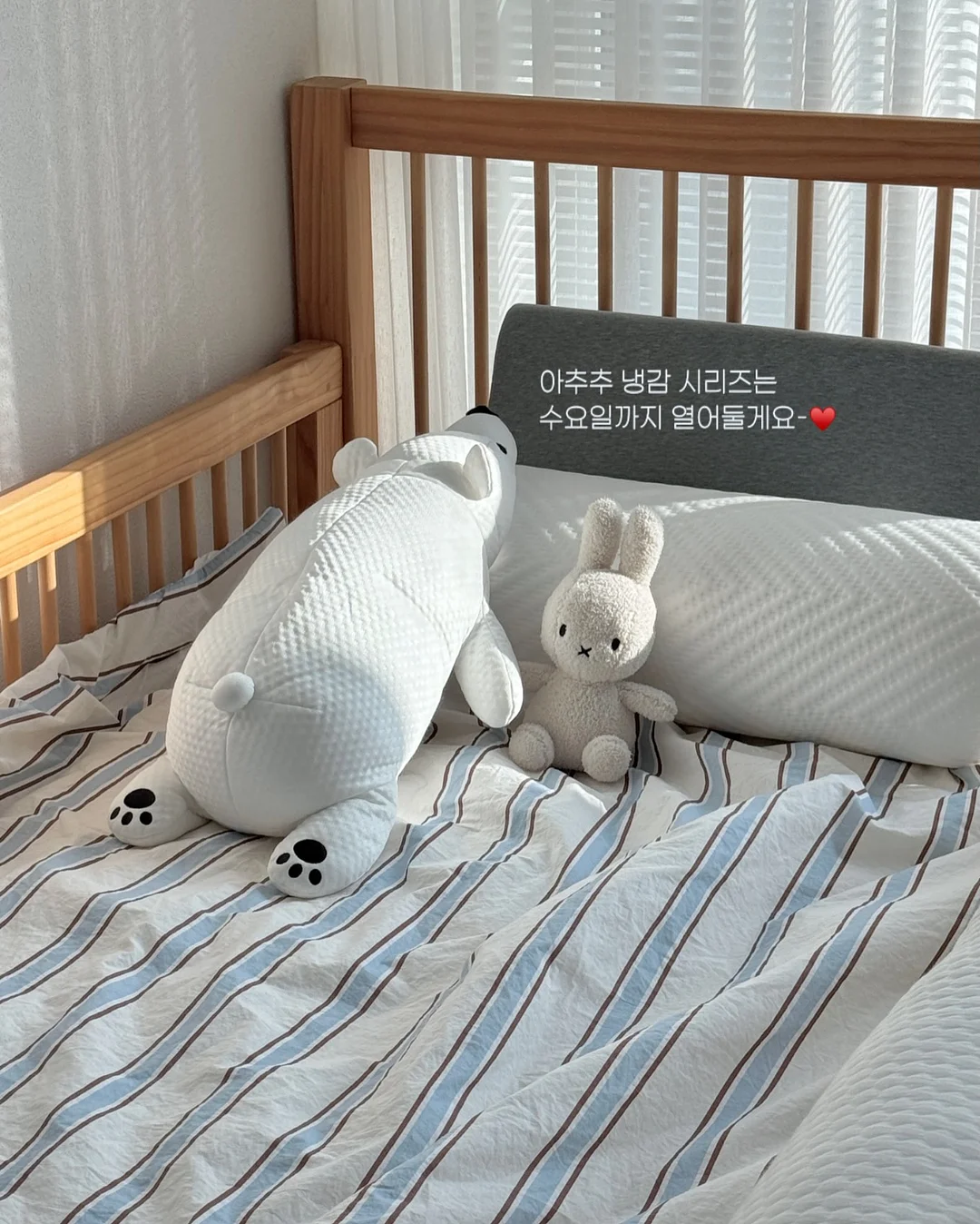 코코하 스페셜 패키지 5