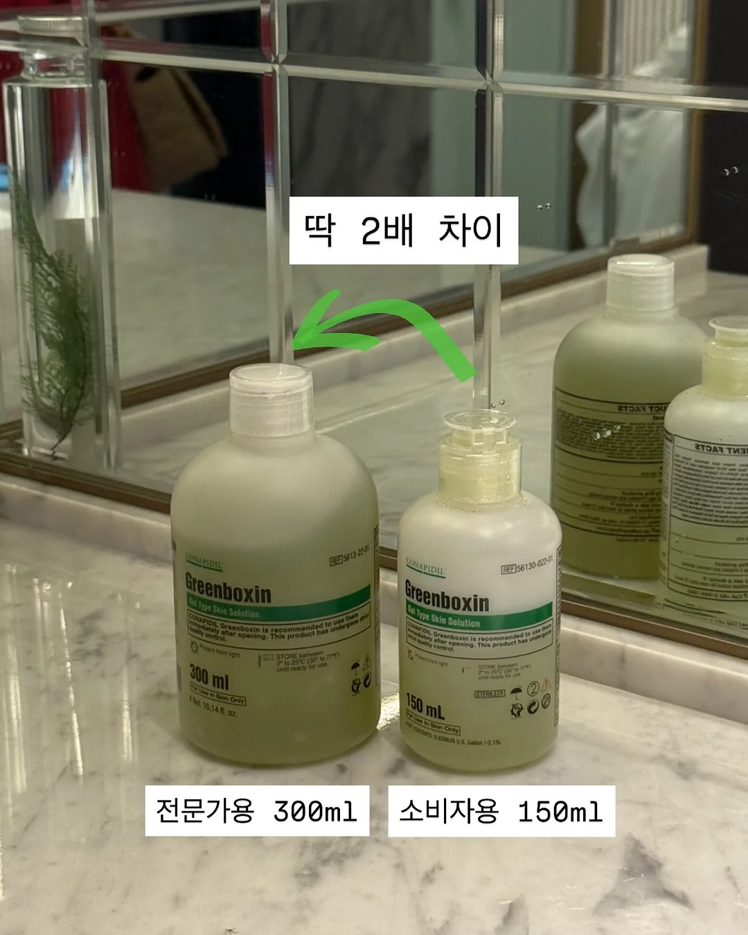 올리버지터 소비뇽블랑 6