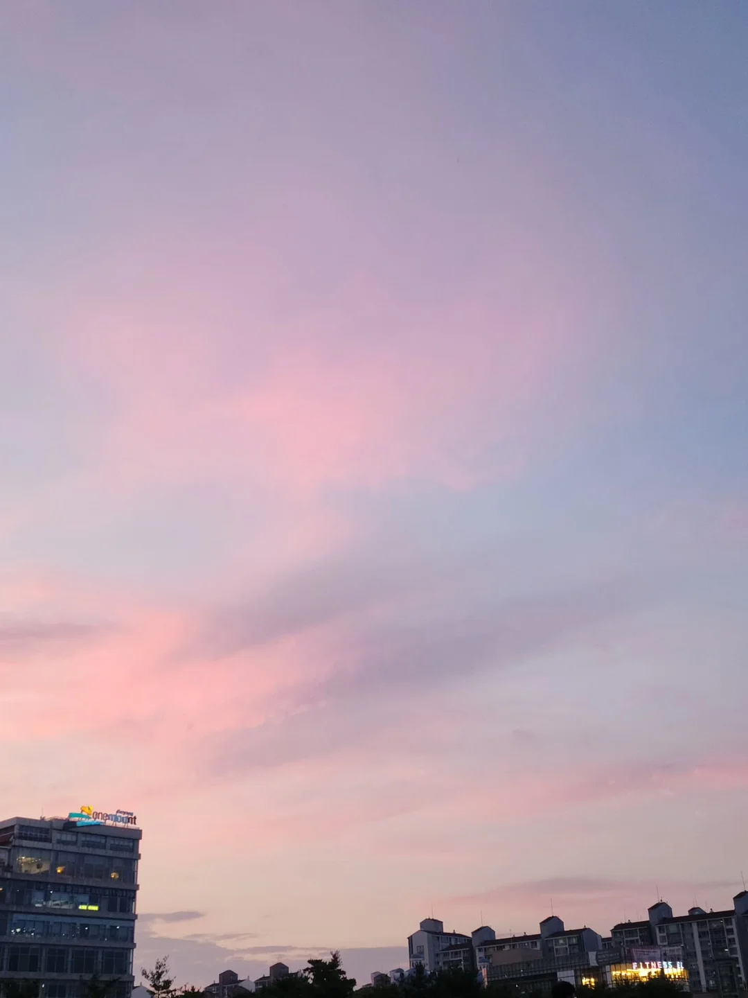 오니츠카타이거 20