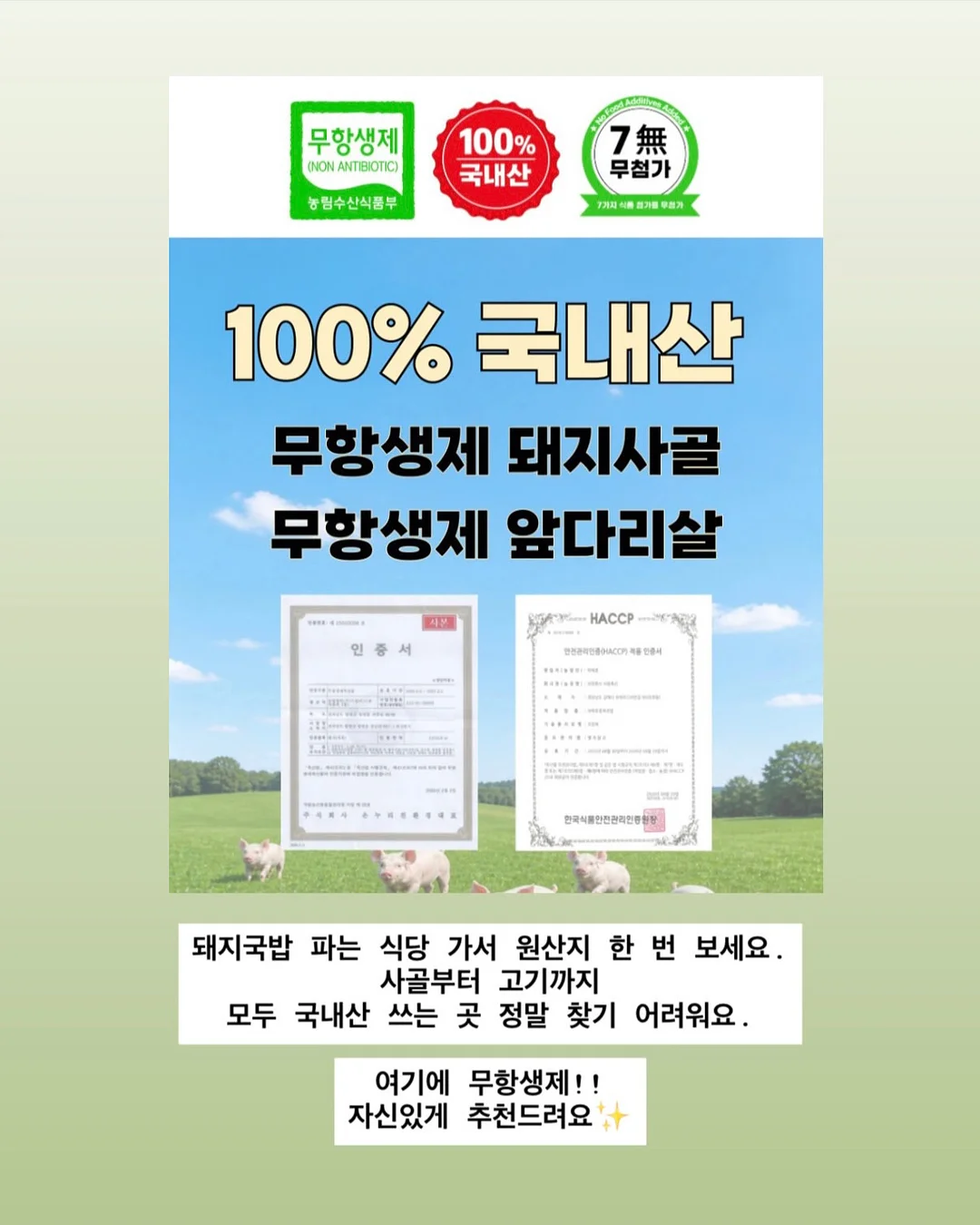 이세이 캡소매, 이세이 치마팬츠 15