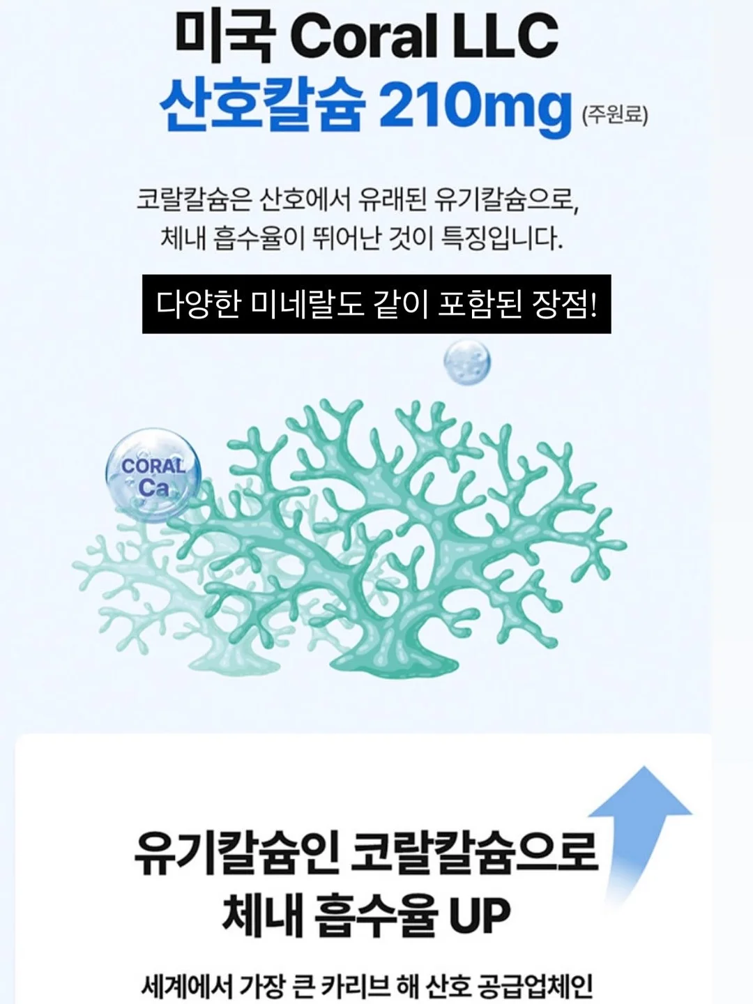 취업 전자책 3