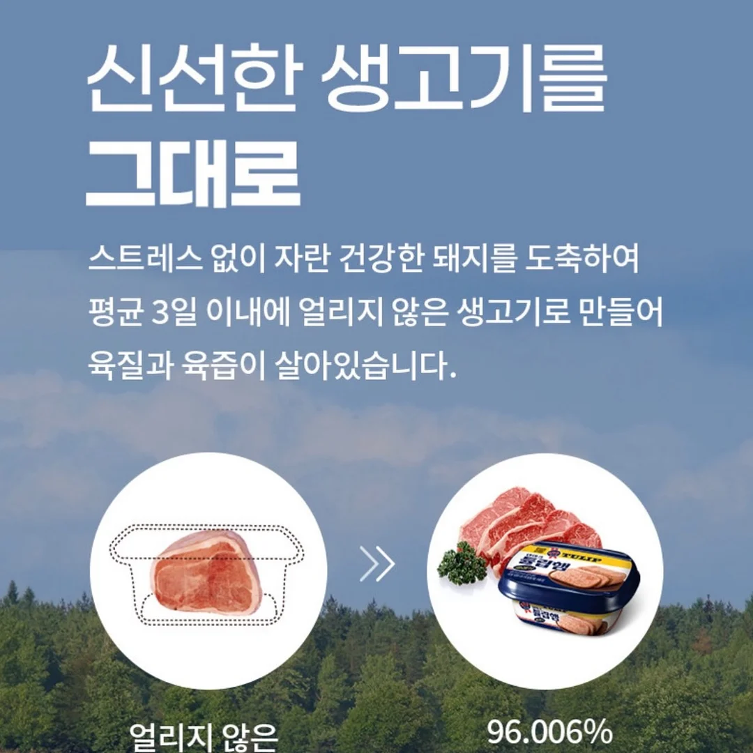 스팀 찜기 5