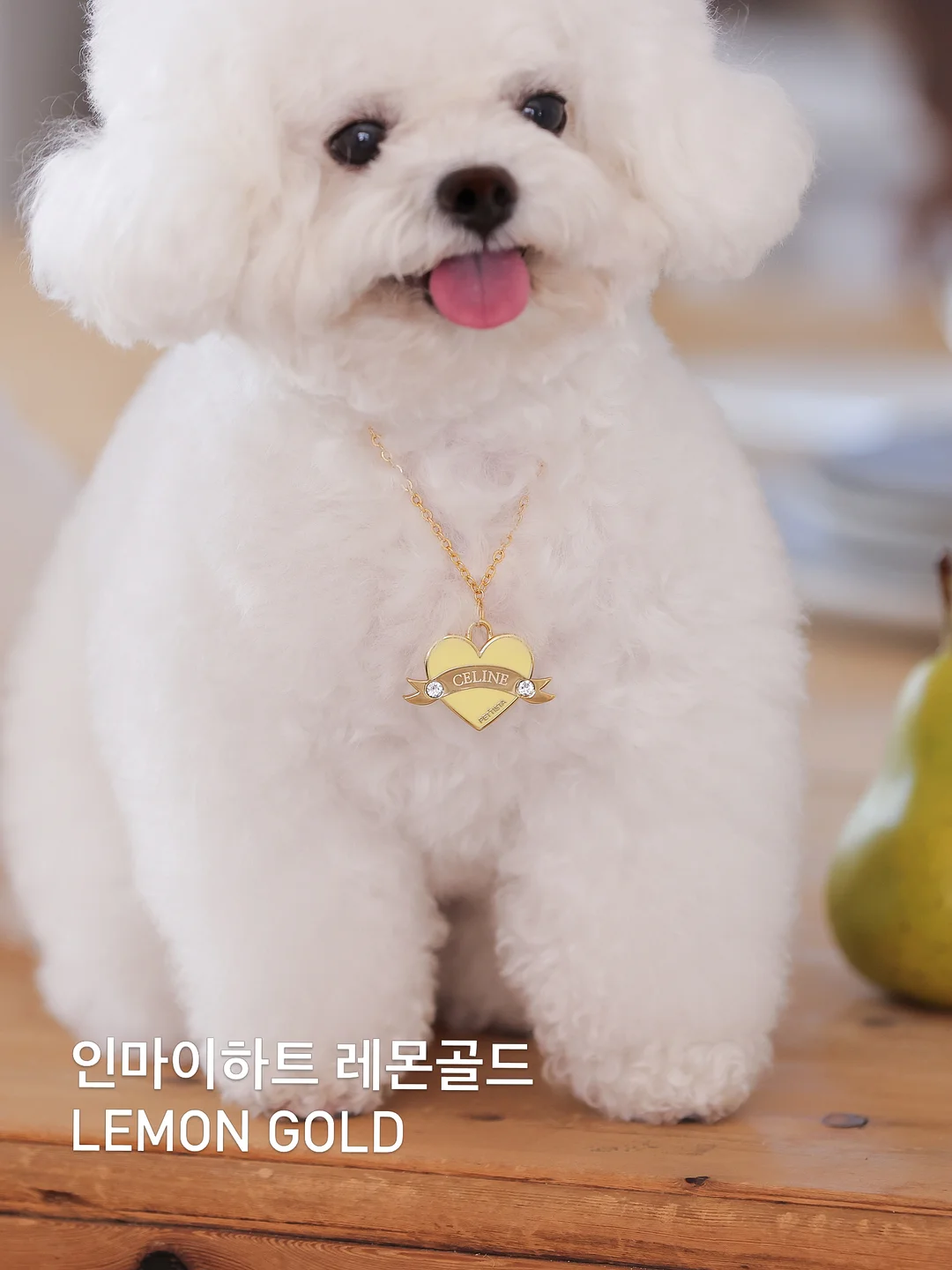 더고구마 서프티 4