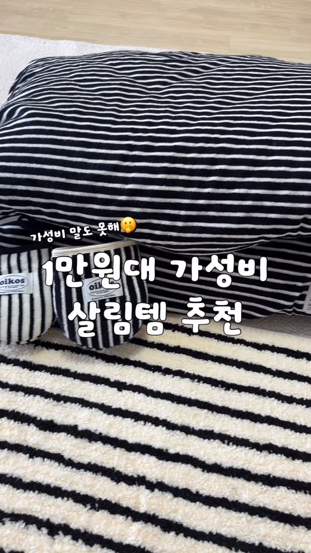 치아 교정기