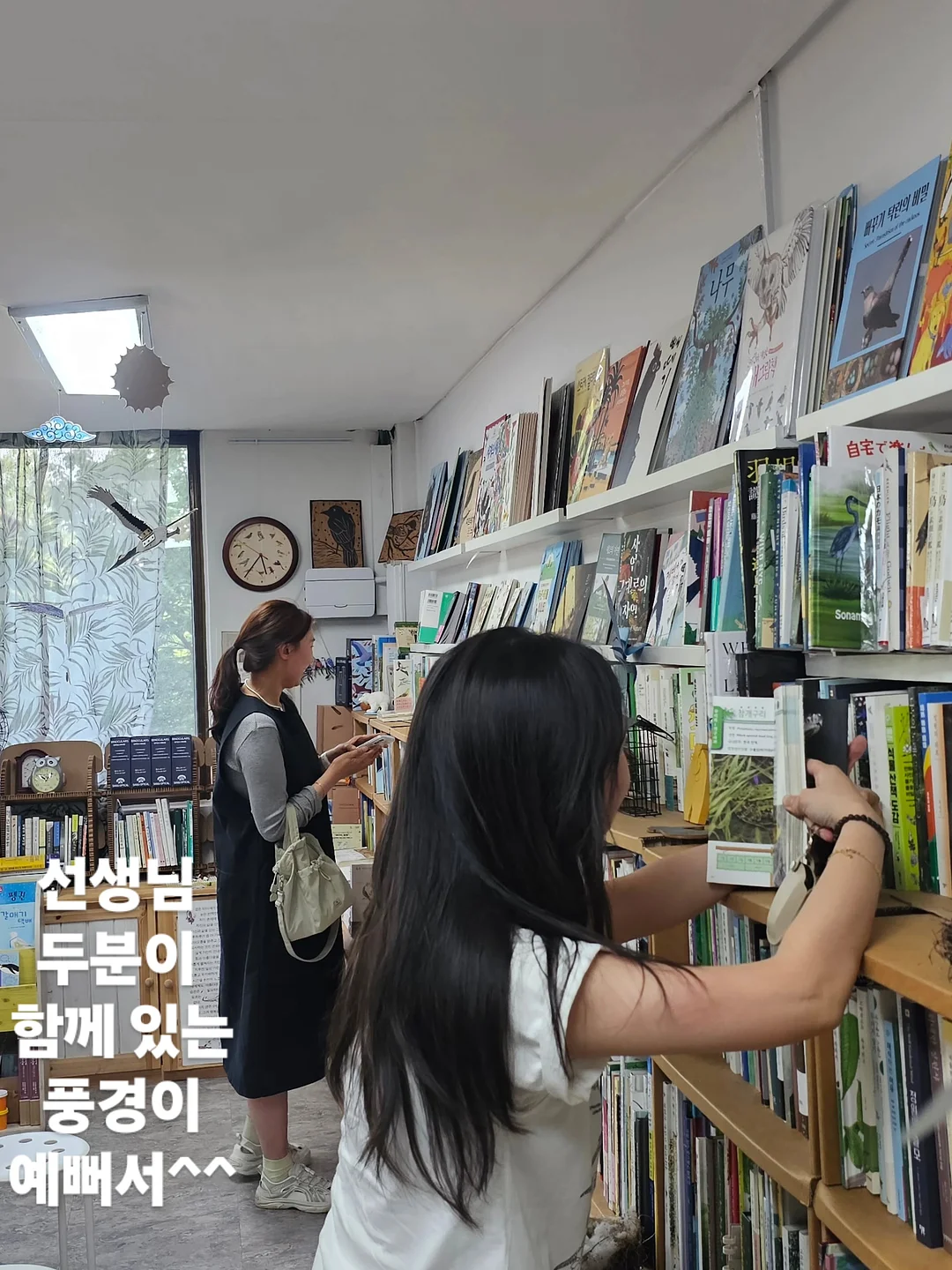 메밀베개 4