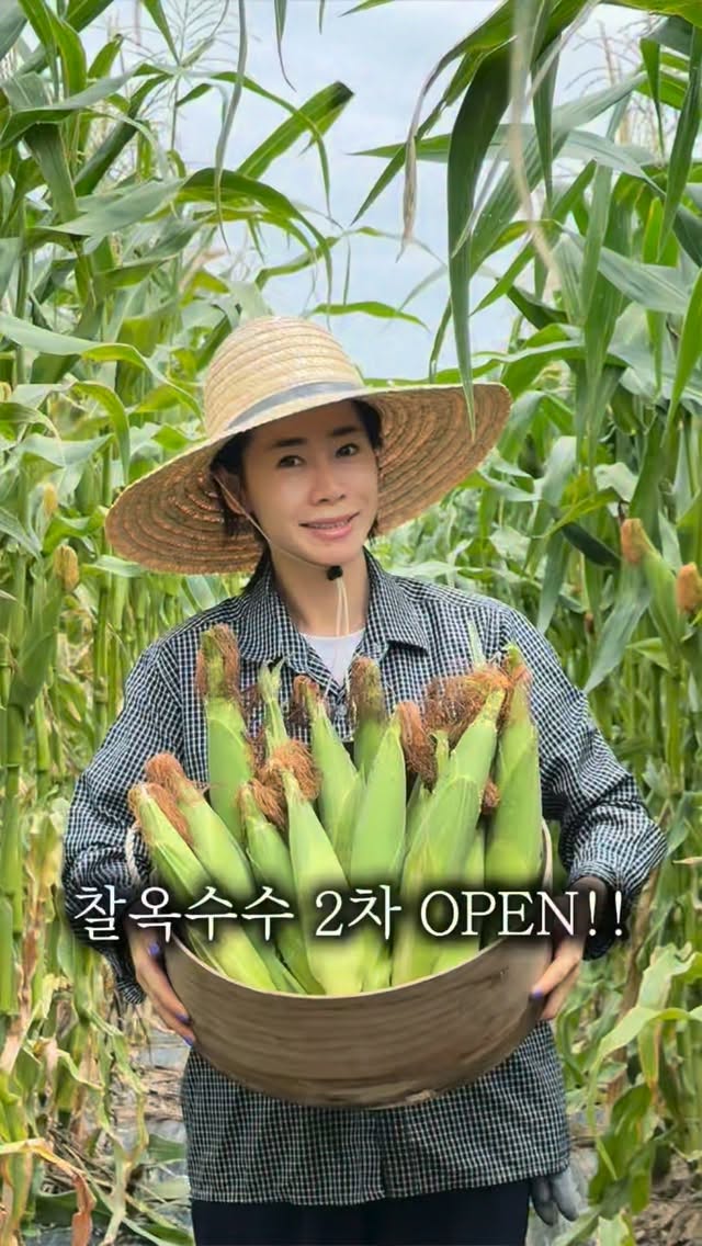 마이 페이버릿 누보 개비스돌하우스 케이크 1호
