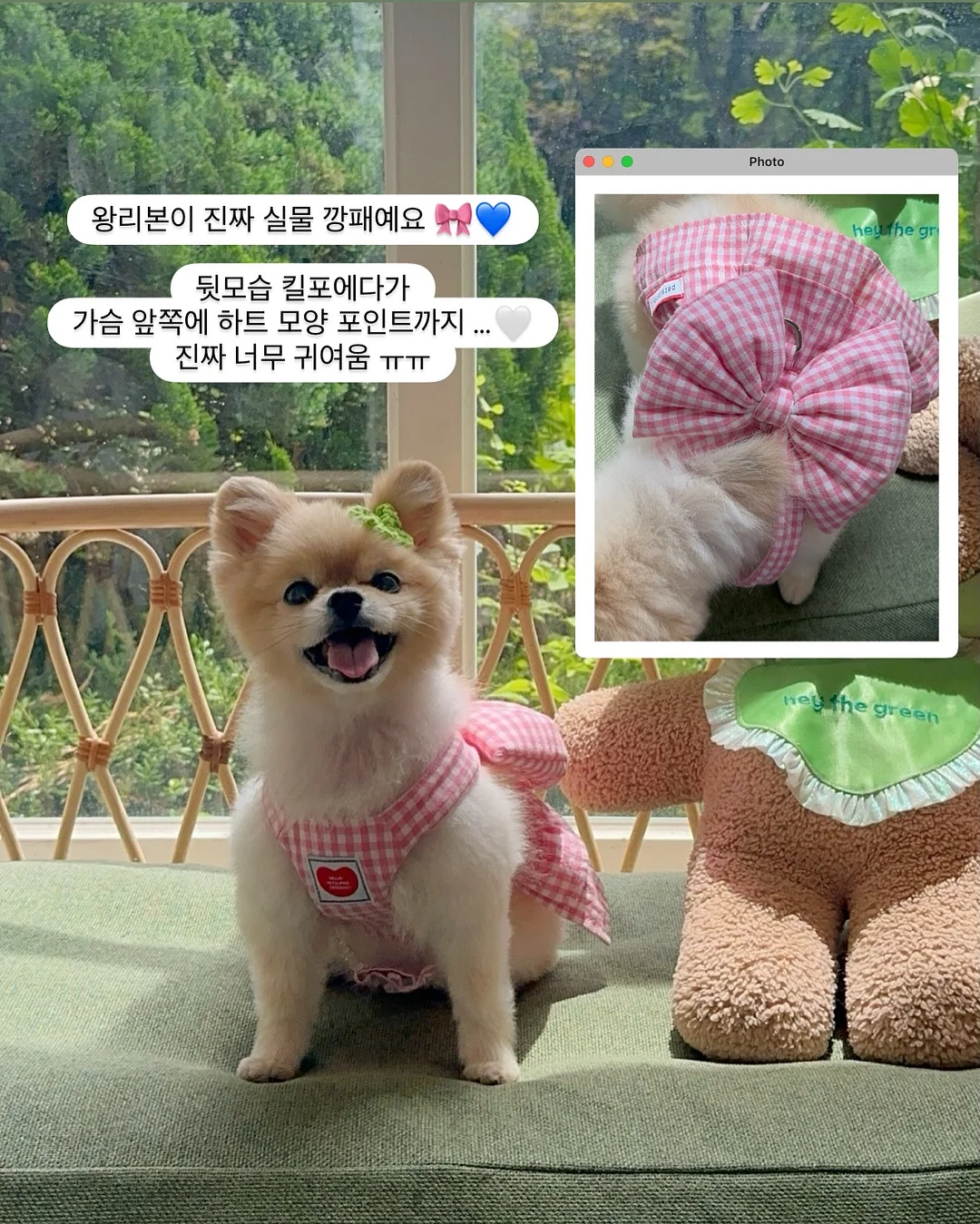 허밍버드 캠프닉 이용권 12