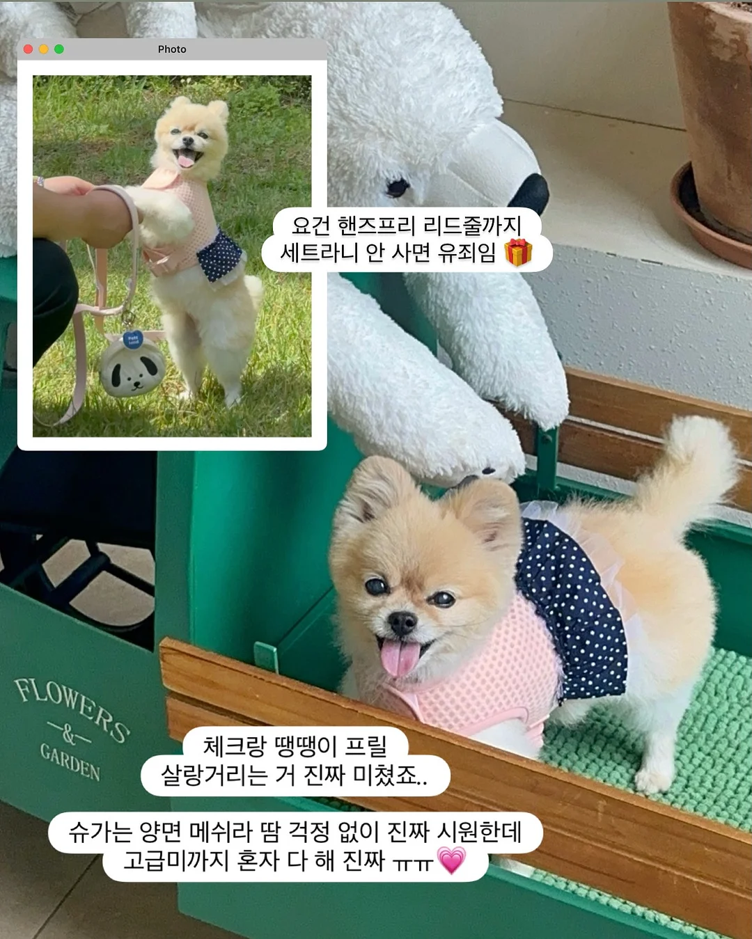 허밍버드 캠프닉 이용권 13