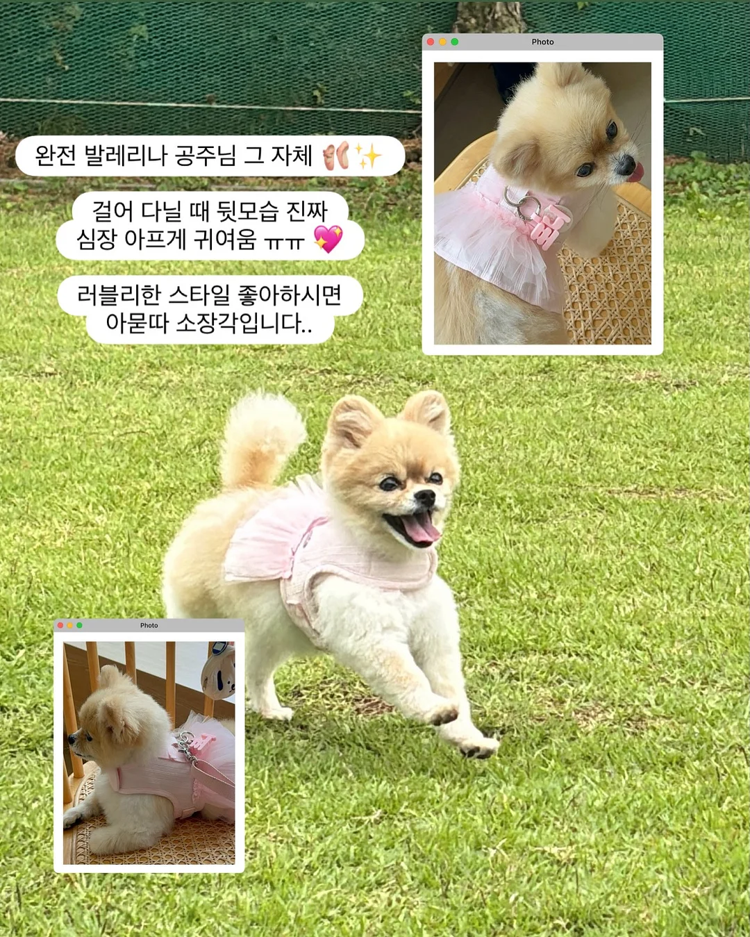 허밍버드 캠프닉 이용권 14