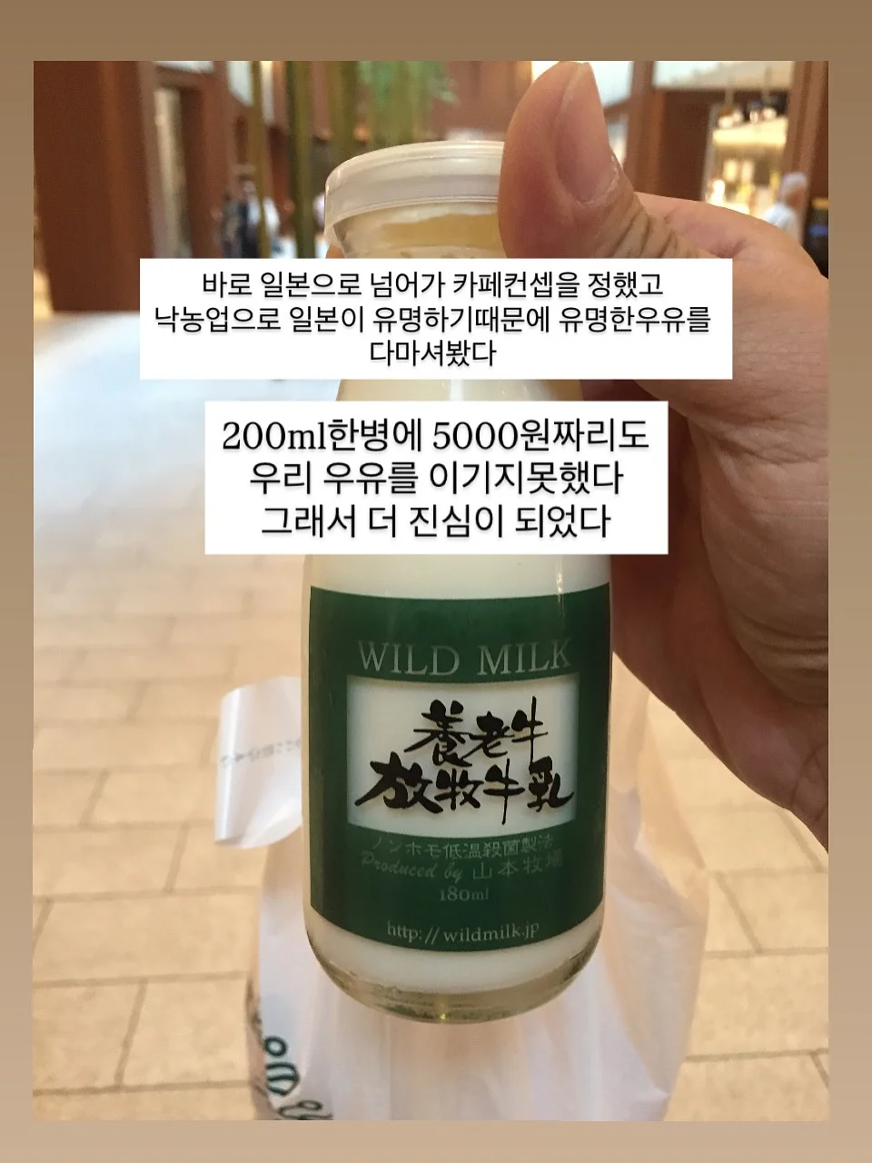 티지오 우다다 롤매트 4