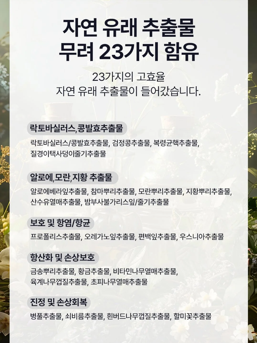 해변 그늘막 13