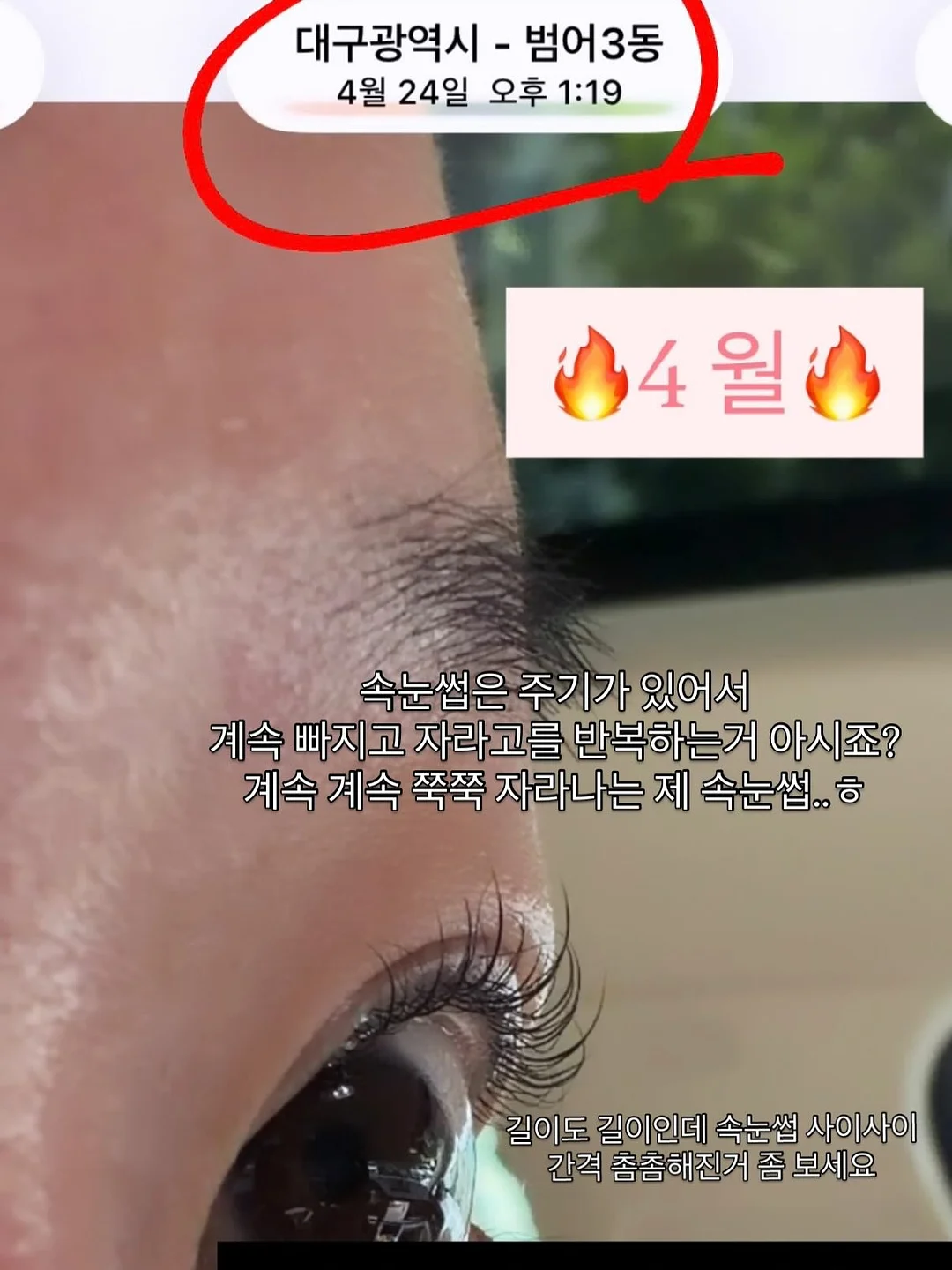 해변 그늘막 5