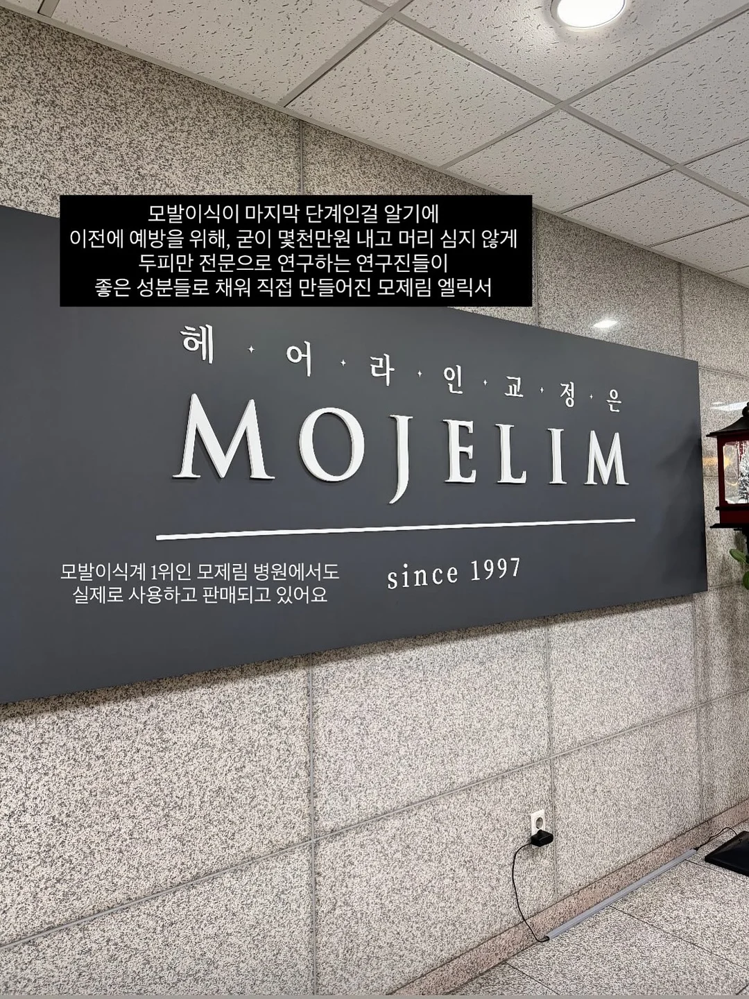 딸기수박화채 4