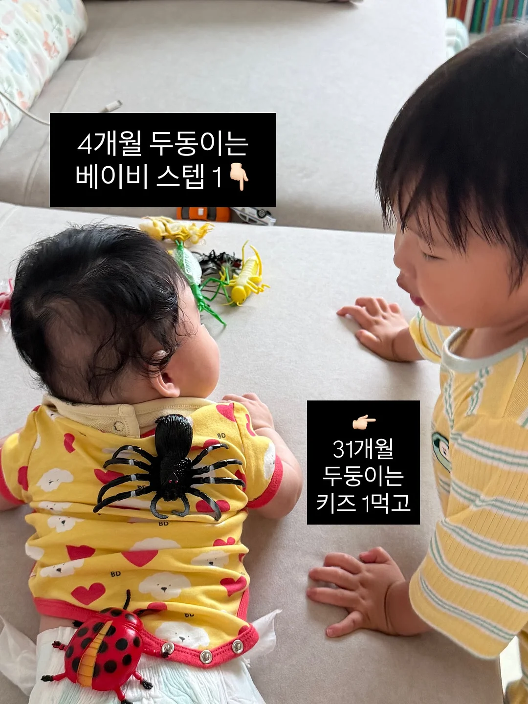 도시락통 14