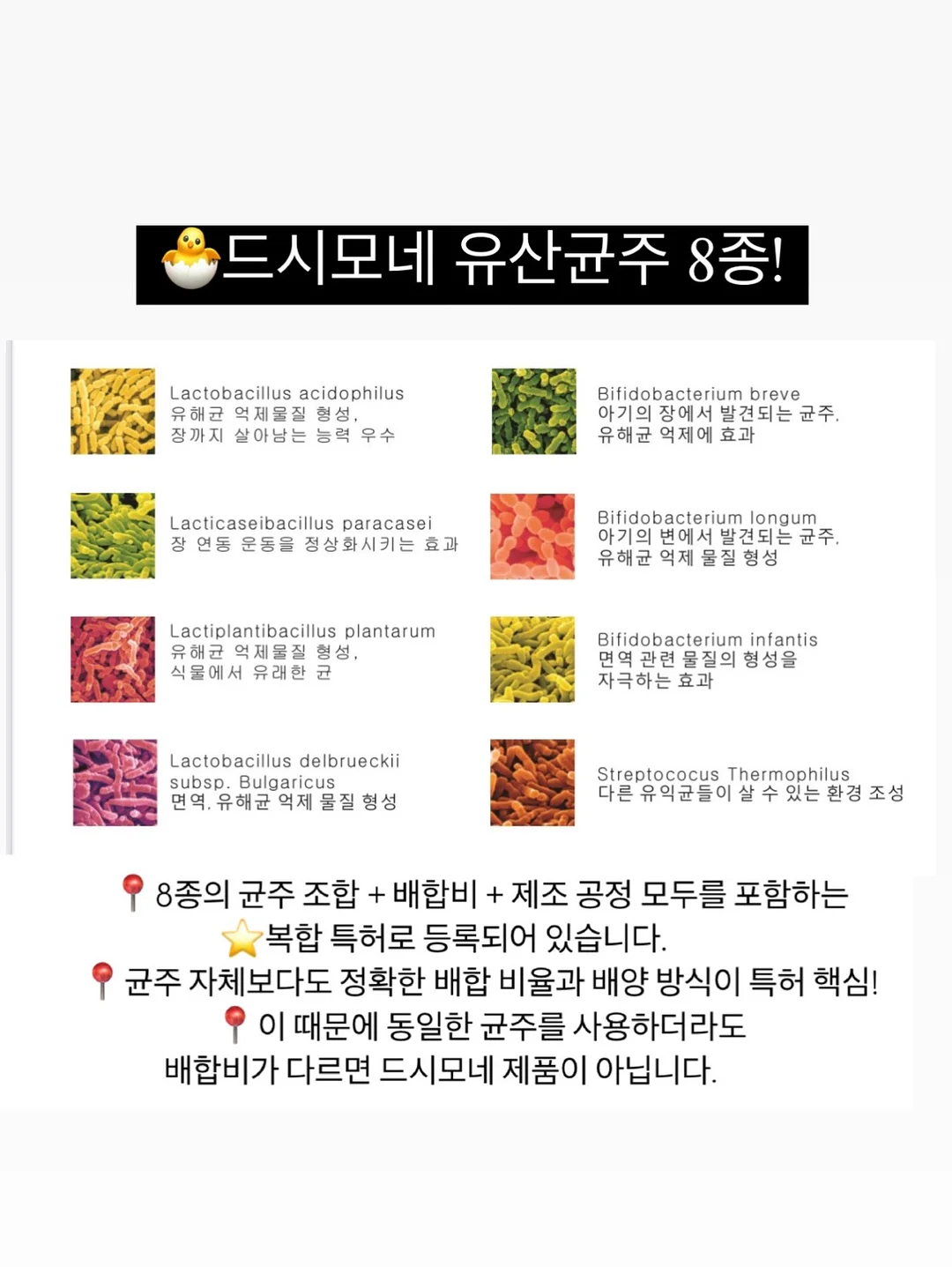 도시락통 8