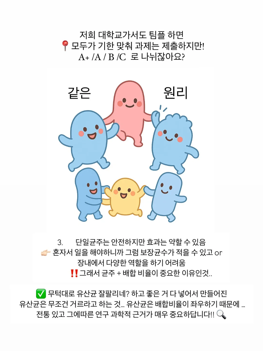 도시락통 10