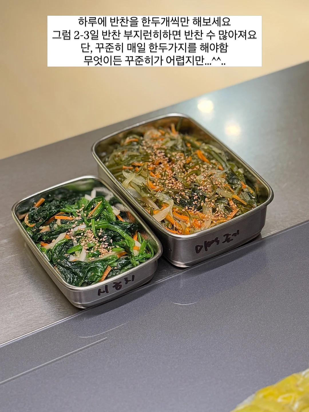CP 트레이닝 버뮤다 팬츠 20
