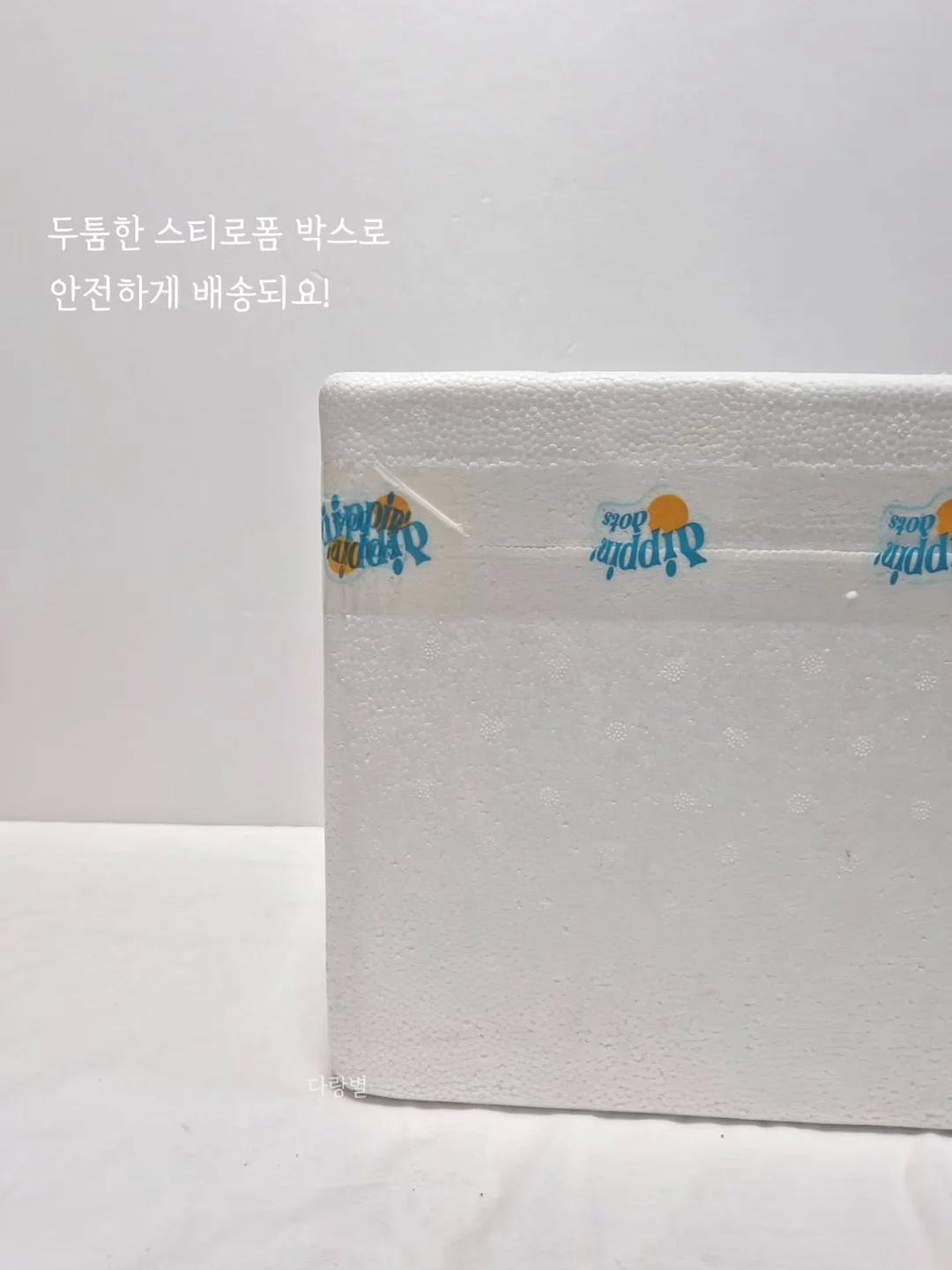 라이카 z2x date 필름 카메라 11