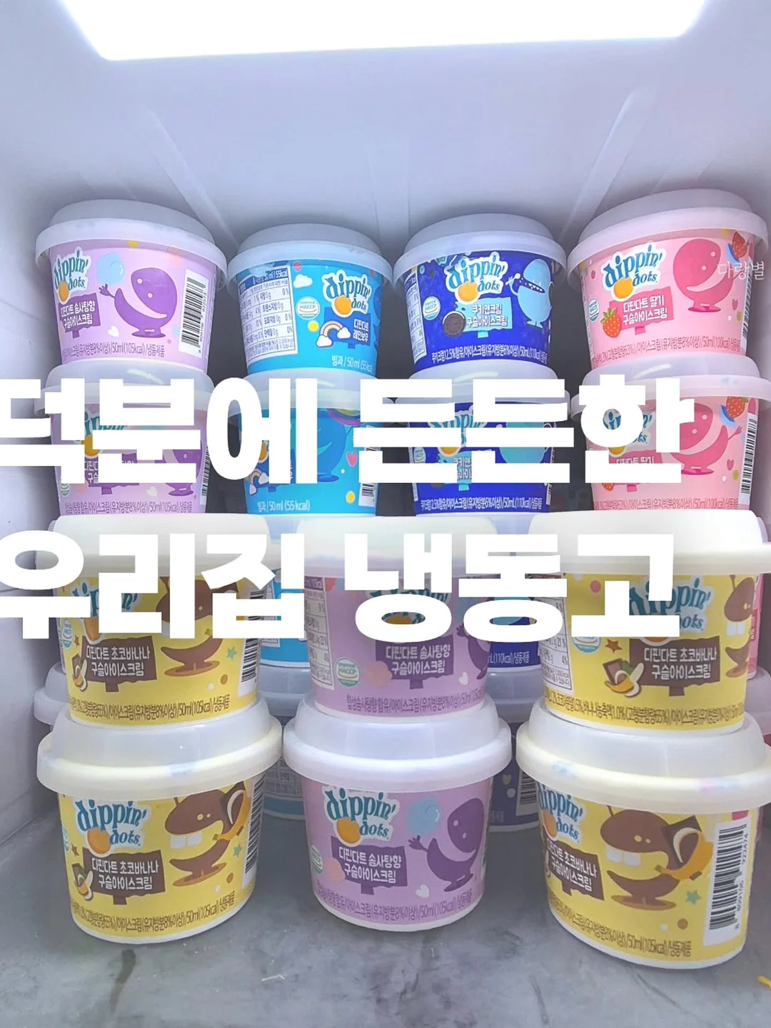 라이카 z2x date 필름 카메라 13
