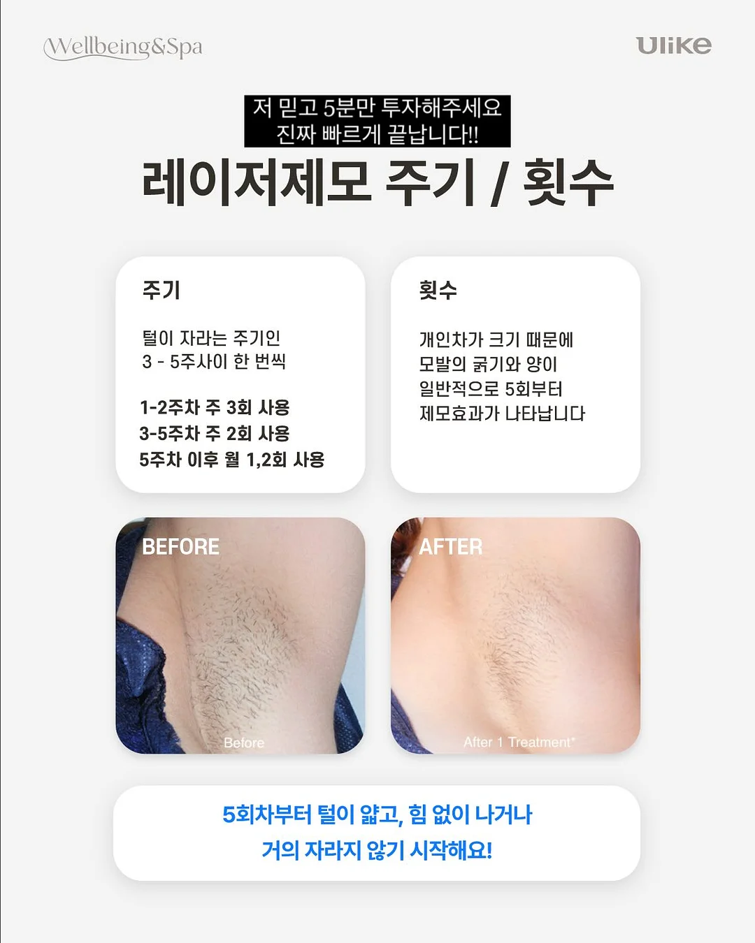 던윅 양말 및 티셔츠 2
