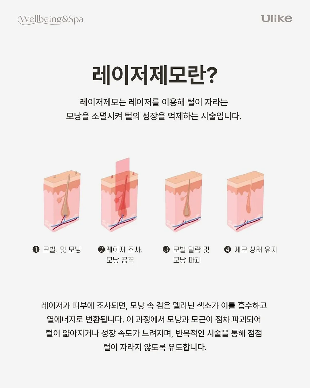 던윅 양말 및 티셔츠 5
