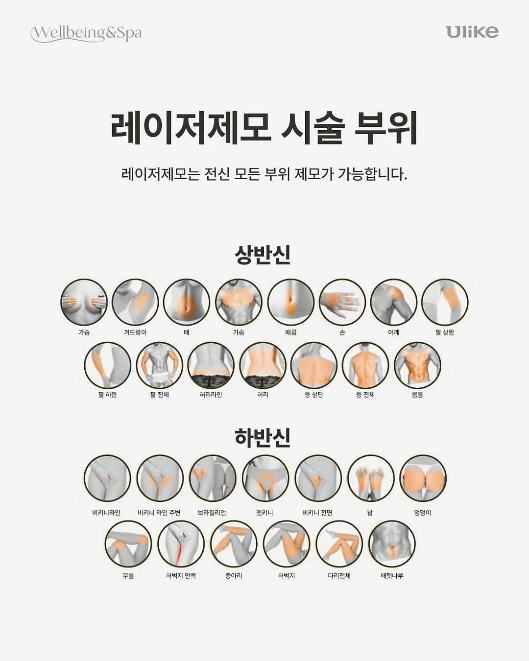 던윅 양말 및 티셔츠 7