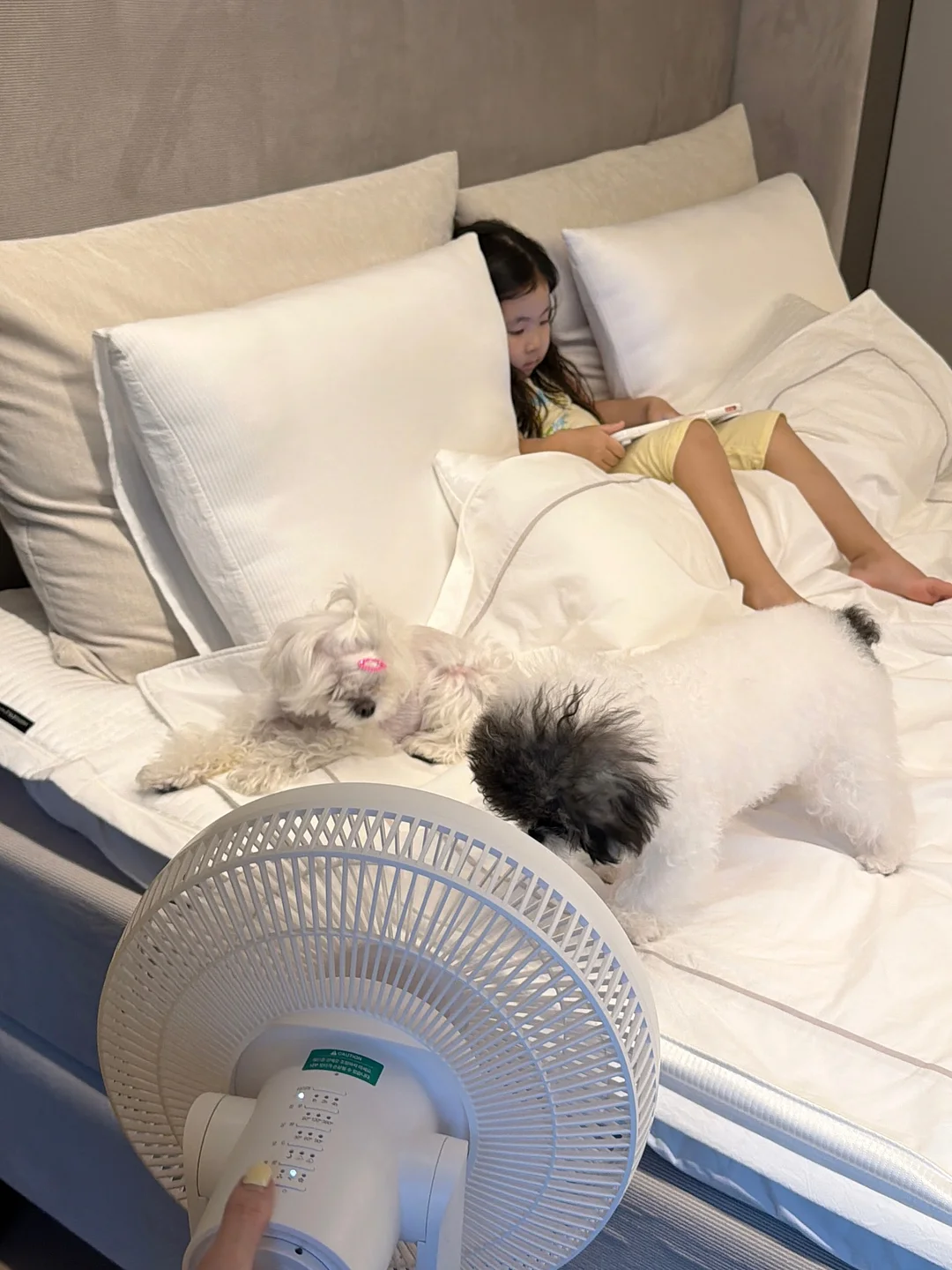 갓김치스팸김밥 9