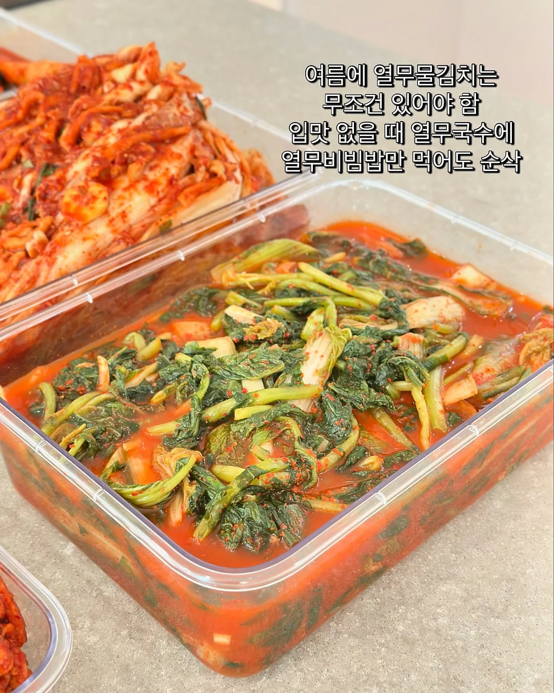 방문 도어커튼 10