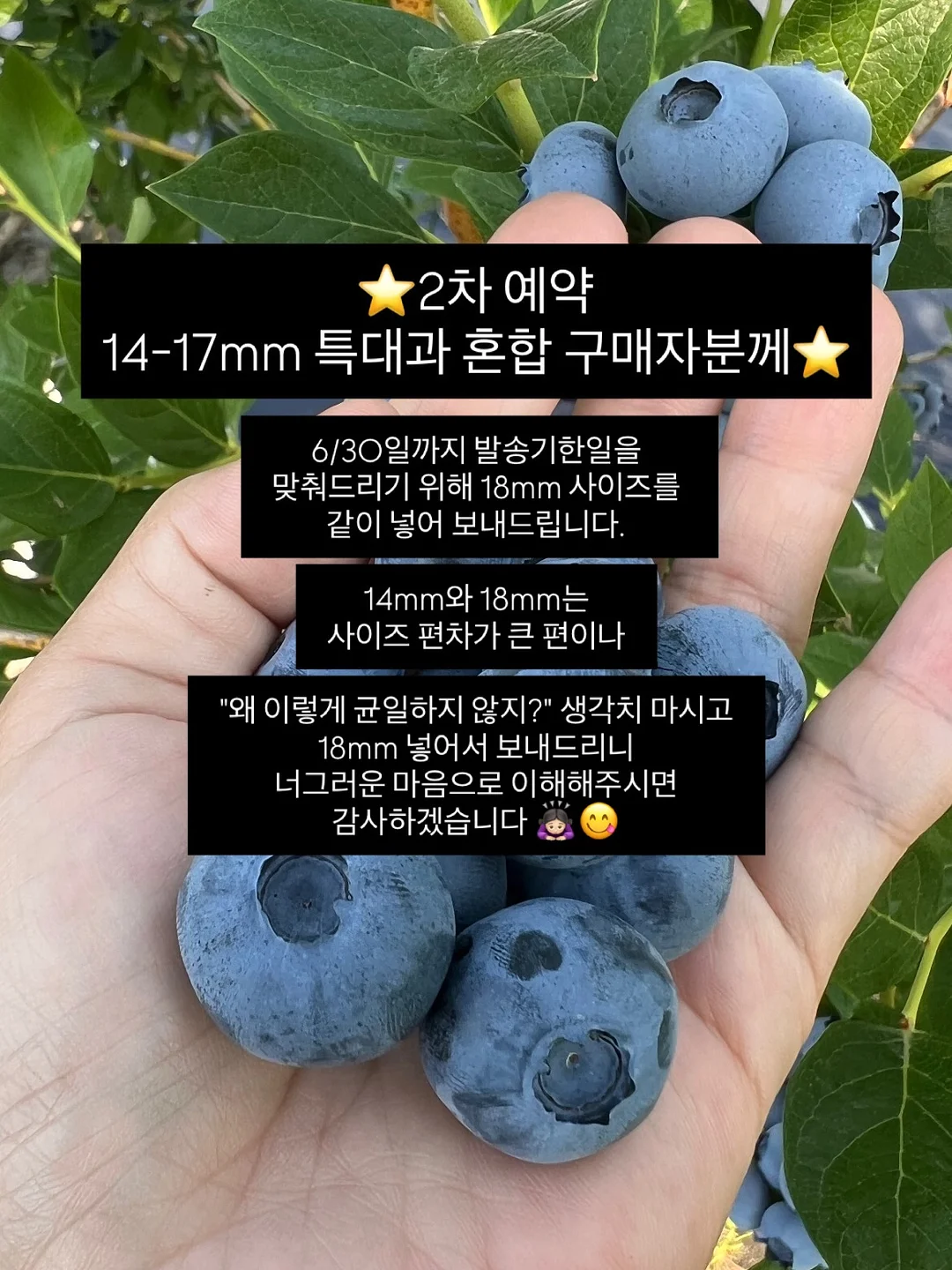 아베크롬비 반집업 맨투맨 1