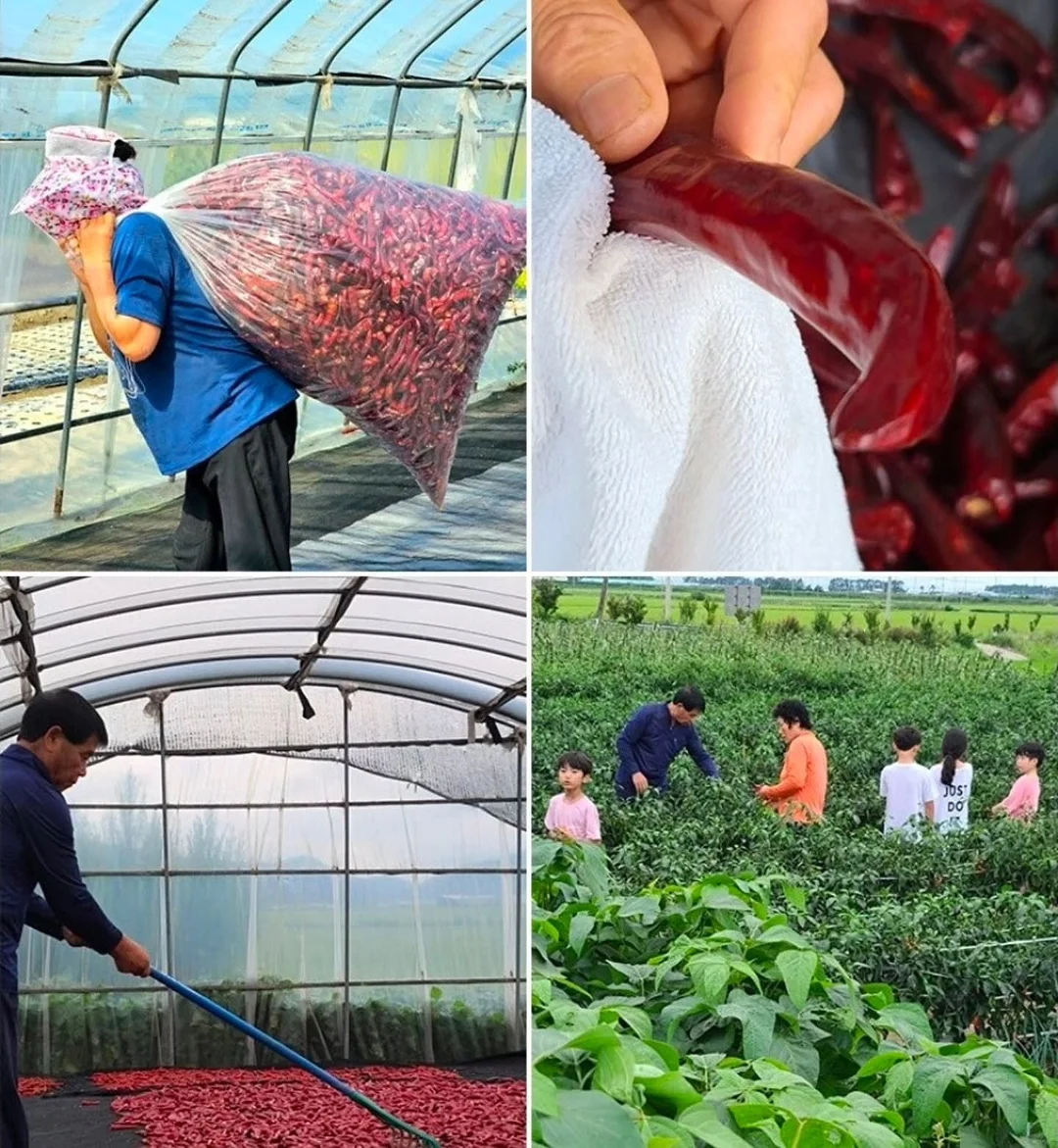 도트 스커트 3
