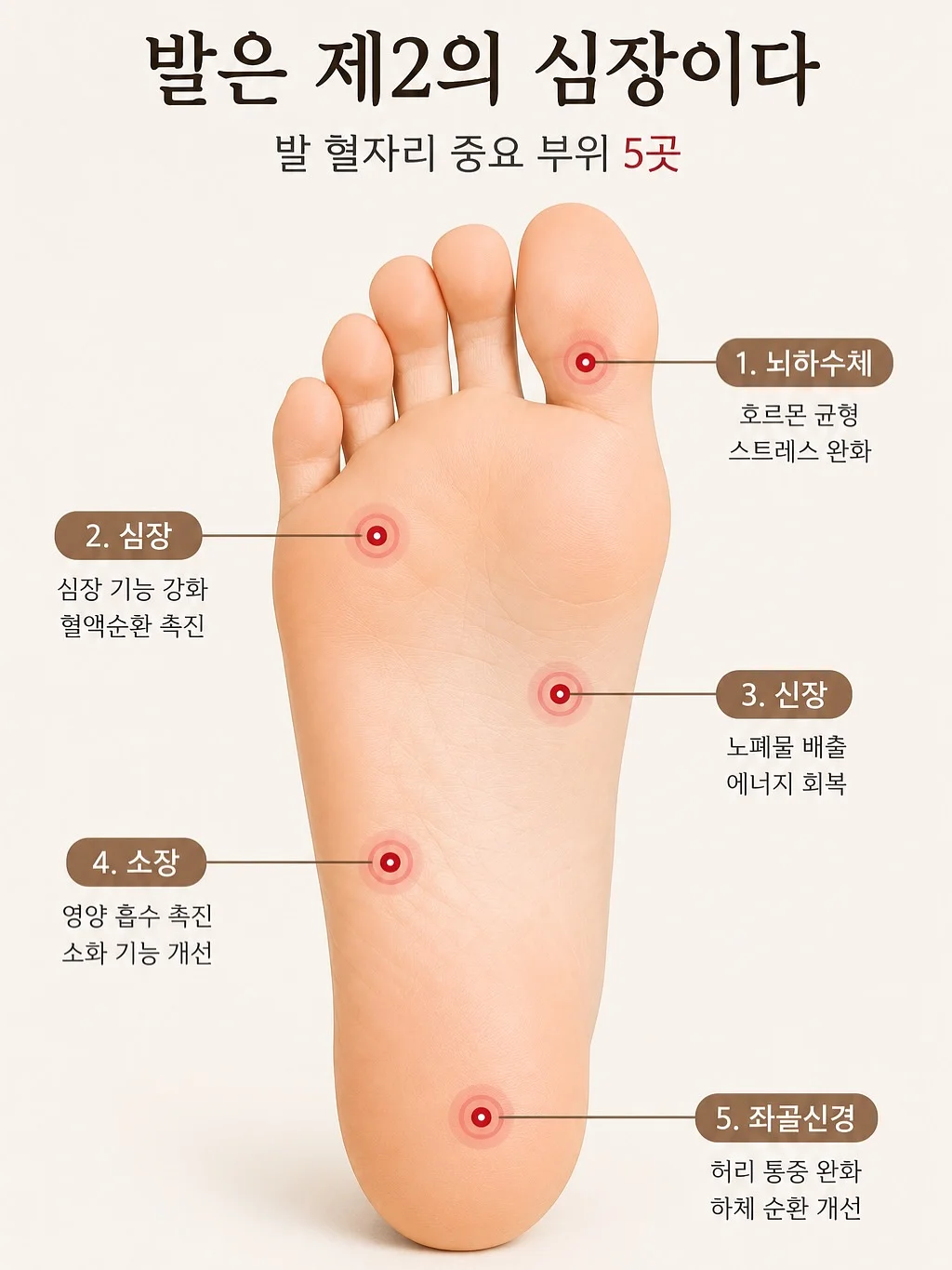 화분걸이 4