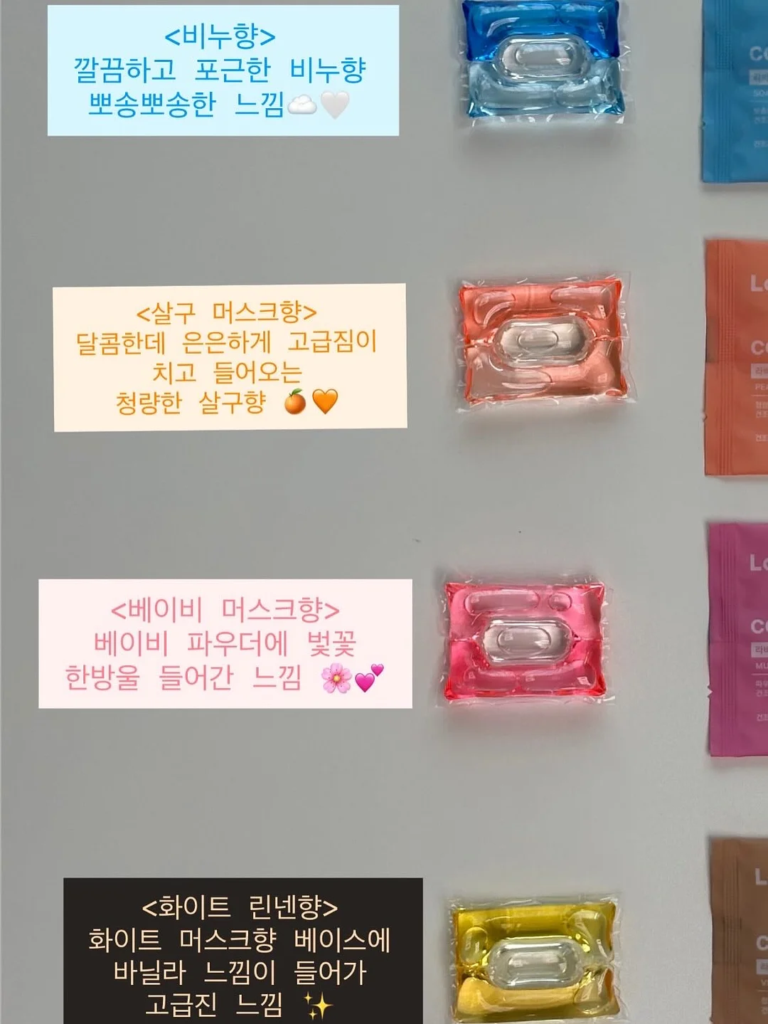 바인하이머 가죽 3