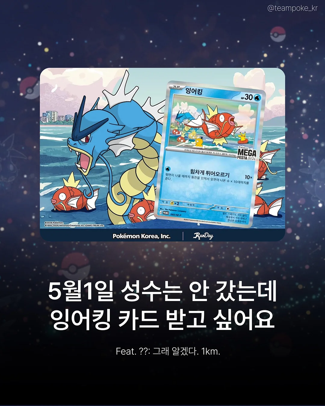 카네이션 화분 1