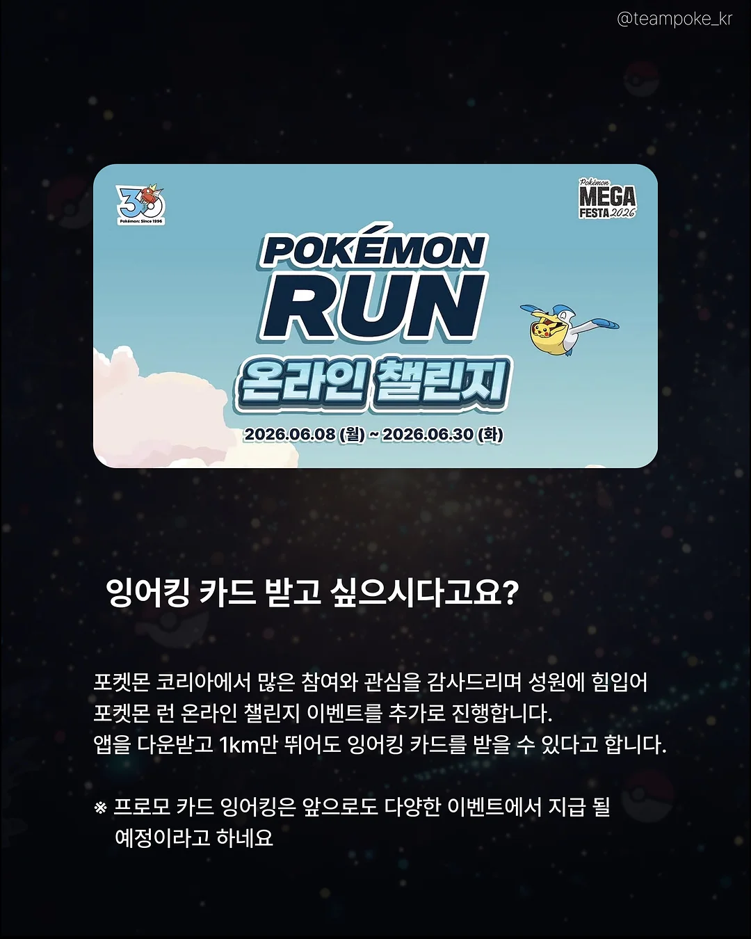 카네이션 화분 2