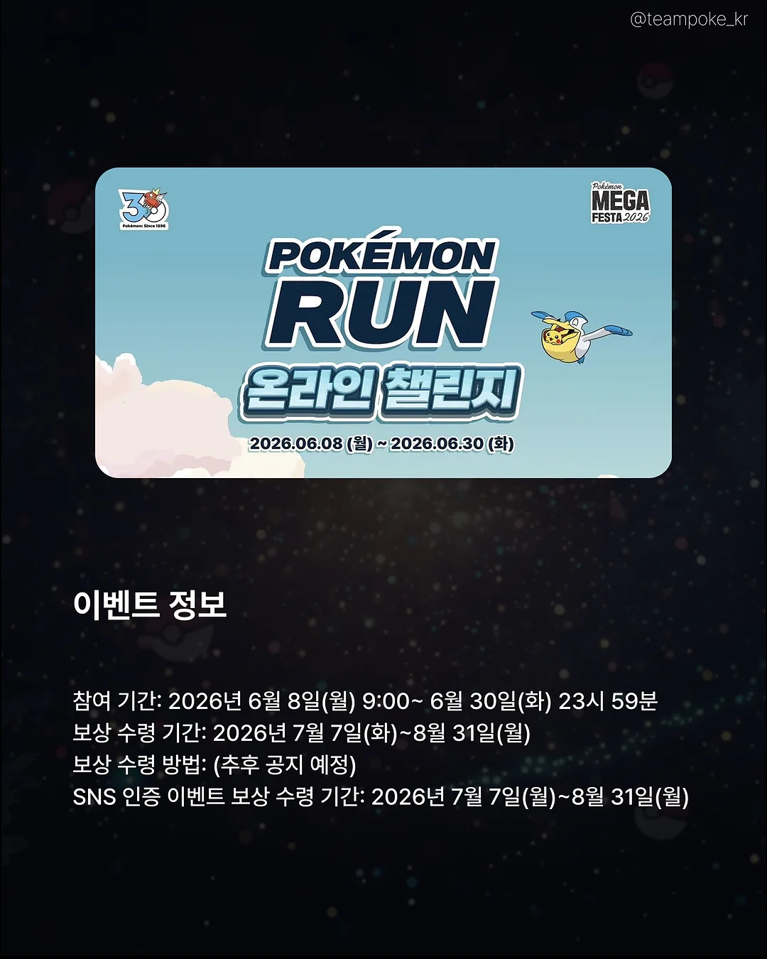 카네이션 화분 3