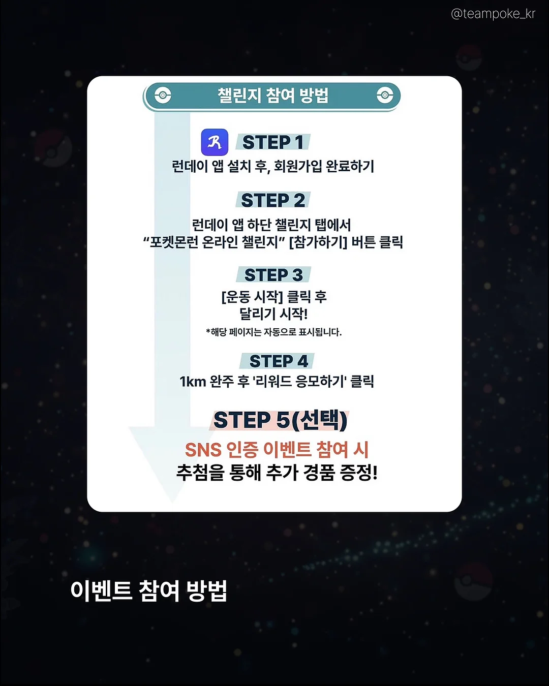 카네이션 화분 4