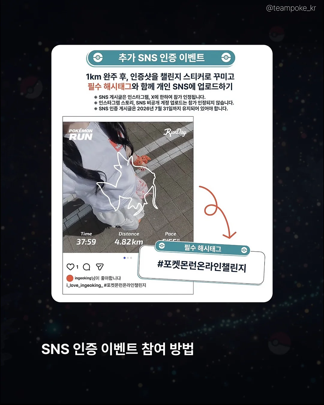 카네이션 화분 6