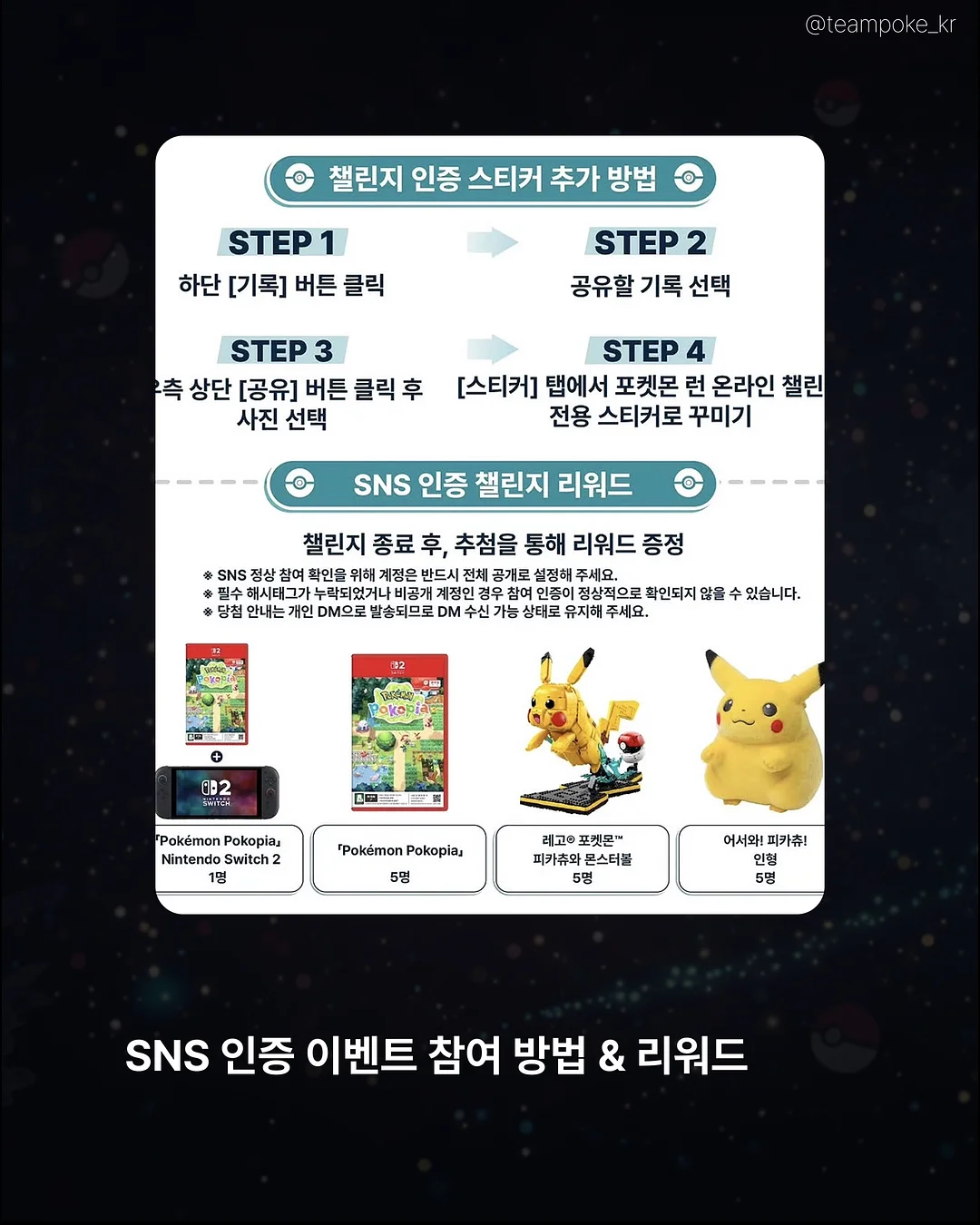 카네이션 화분 7