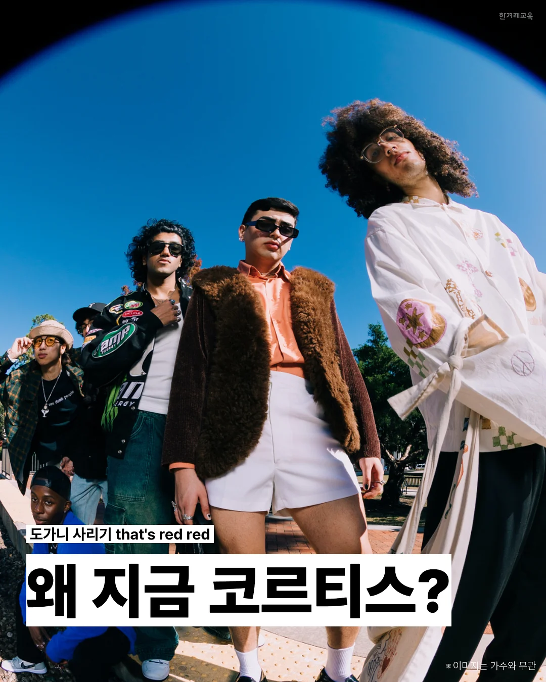 오란다과일도시락 1