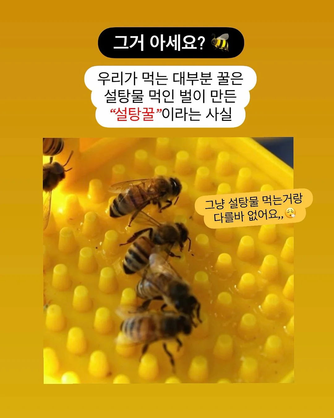 TORTOISE 내한공연 11