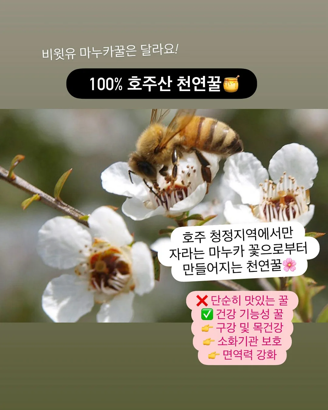 TORTOISE 내한공연 12