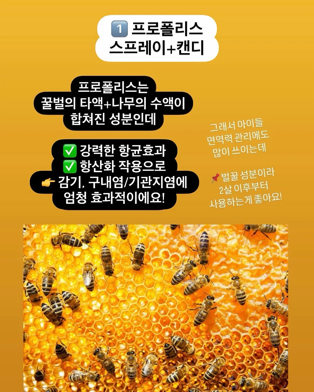 TORTOISE 내한공연 3