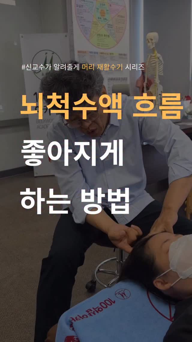 구스켓 365 힙시트 플러스