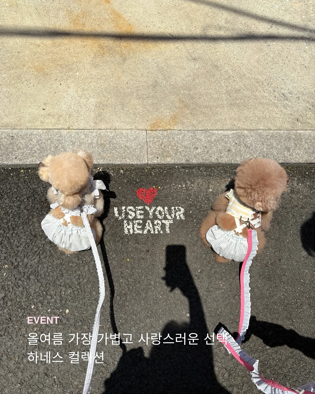 우루리스 헤어오일 1