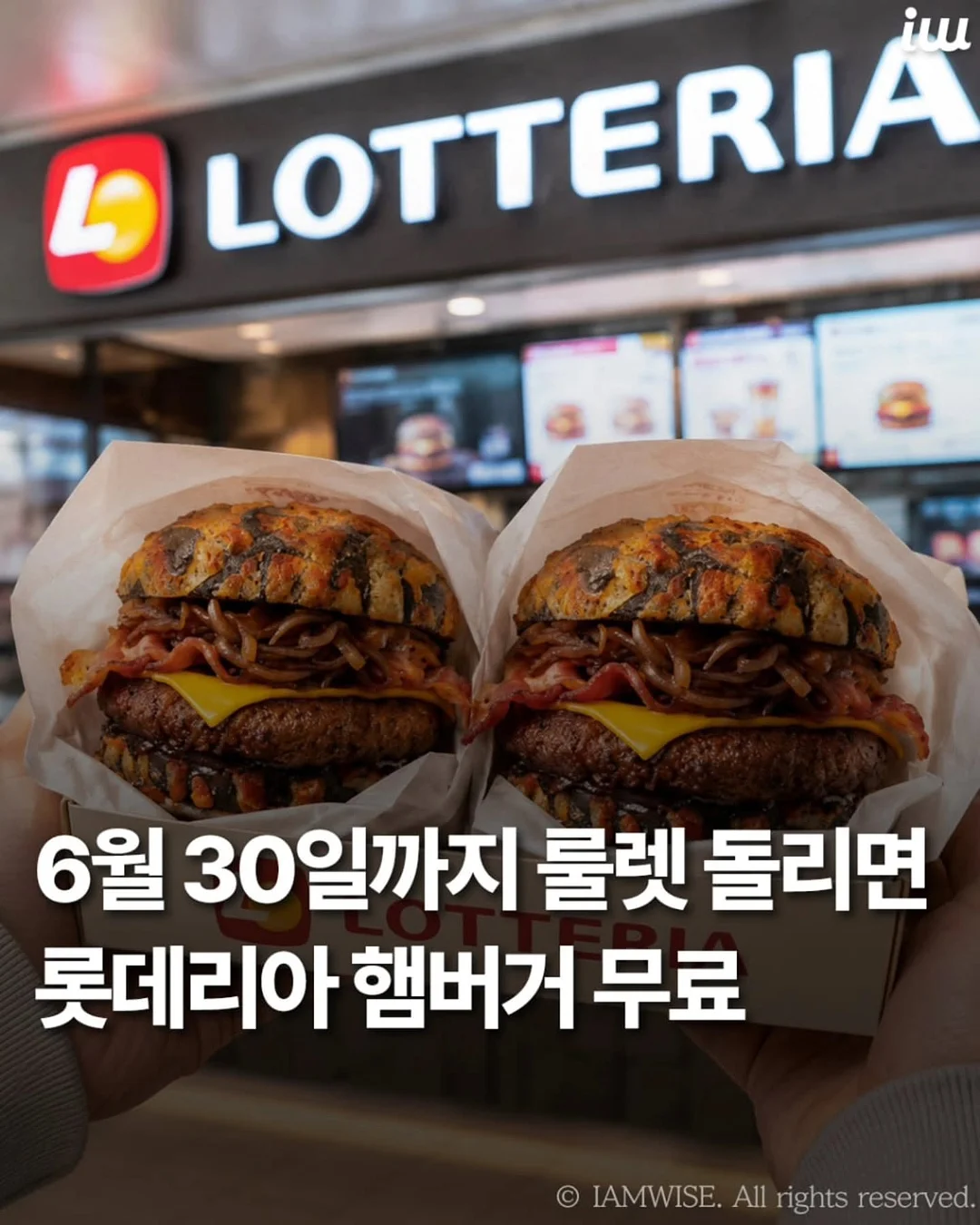 머니랩 투자 분석 1