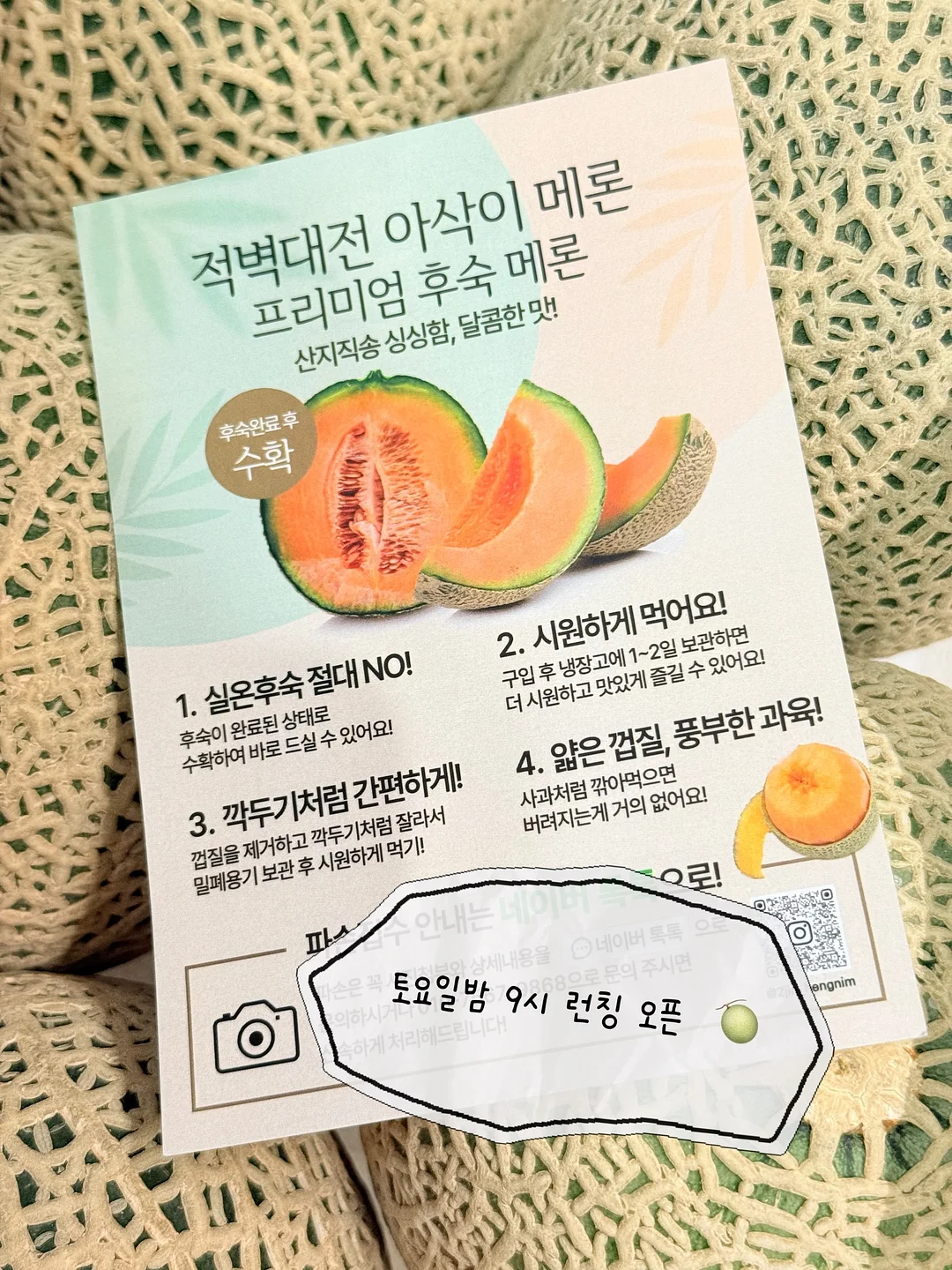 시오레 1