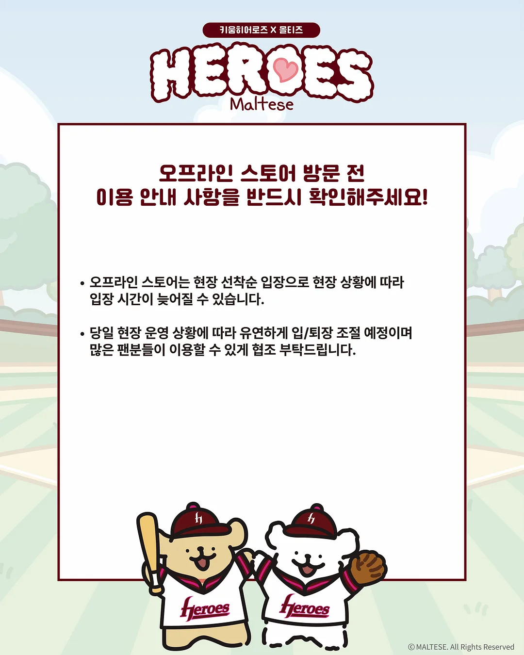 실크 플라워 카네이션 12