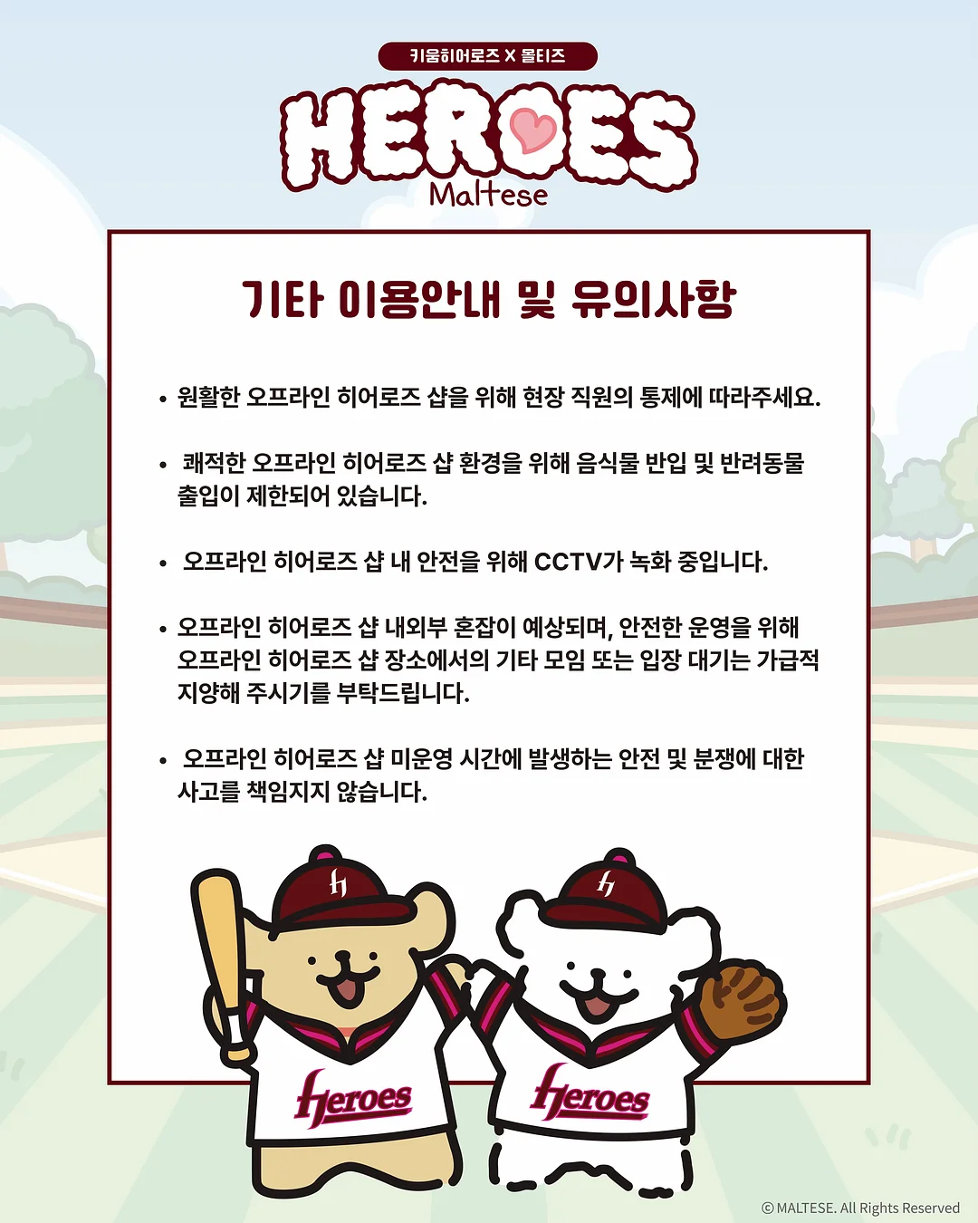실크 플라워 카네이션 14