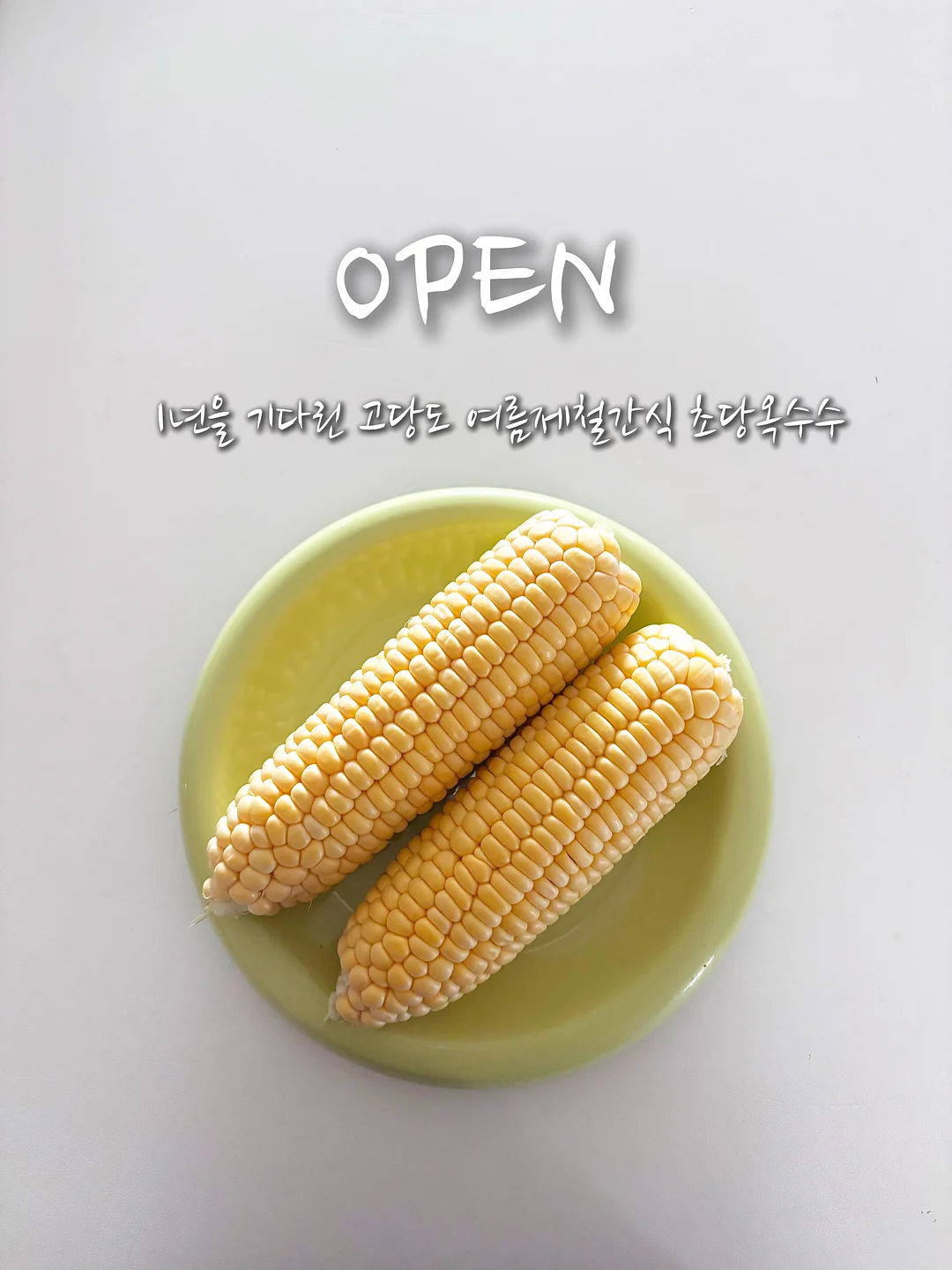 코르딕스 루프 캐리어 1
